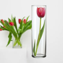 Üveg váza 27,5 x 8,4 cm  1830060