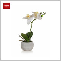 HOME DEKOR Orchidea papírcserépben 32 x 23 cm, fehér 63935019