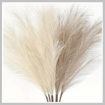 6 db Dekor Műpampafű bézs/barna 95 cm NF385649