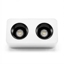 Modern Téglalap LED Mennyezeti Lámpa - 2-es Spot (Fehér/Fekete) LEDS-02