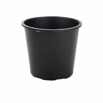 30 darabos palántacserép készlet 5,5 cm, fekete 27926