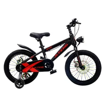 X-Feng gyermek kerékpár 20" kerékméret, fekete 603R-2
