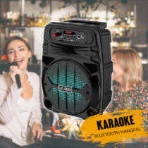 Karaoke bluetooth hangfal LZ6102