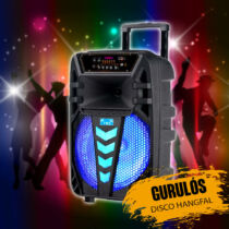 Karaoke hangfal mikrofonnal GZ1012
