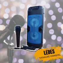 Ledes karaoke hangfal YD-808